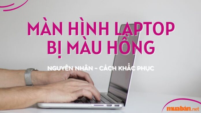 Nguyên nhân và cách khắc phục màn hình laptop bị màu hồng