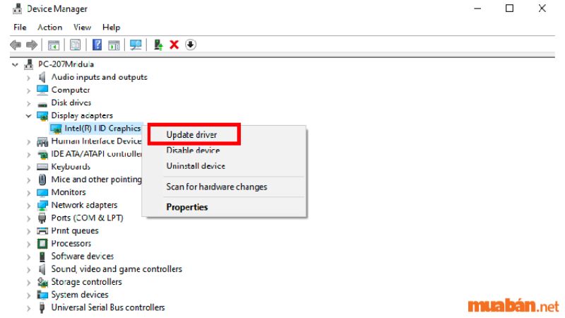 click vào card đồ hoạ của máy tính và chọn "Update Driver"