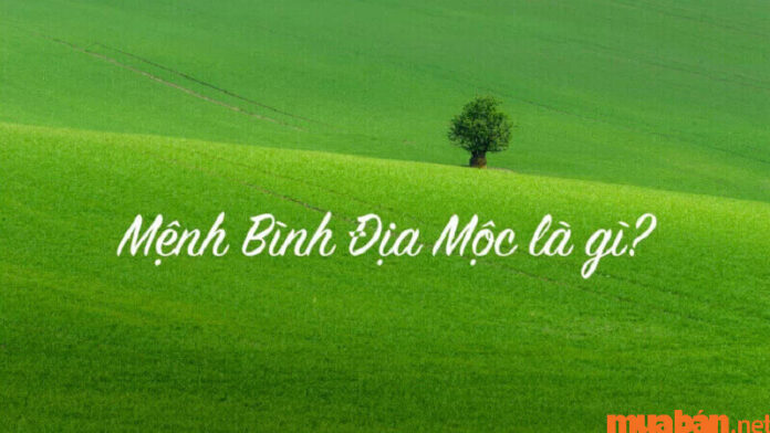 bình địa mộc