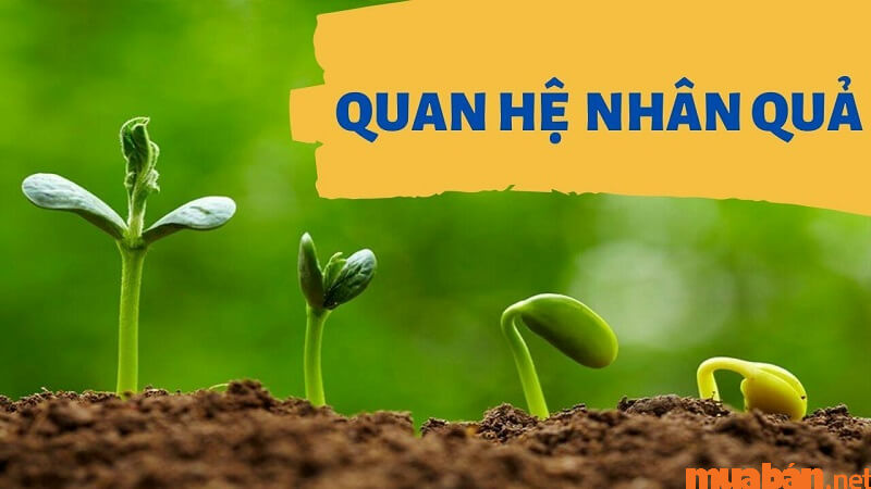 Luật nhân quả là gì