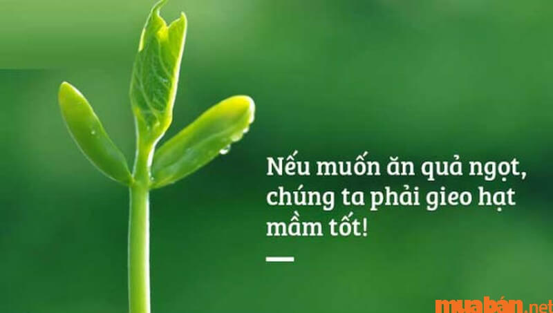 Luật nhân quả là gì