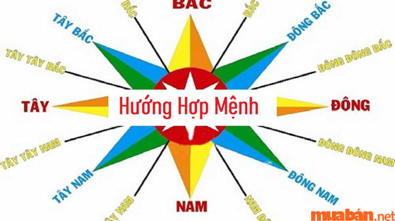 4 7 2008 mệnh gì