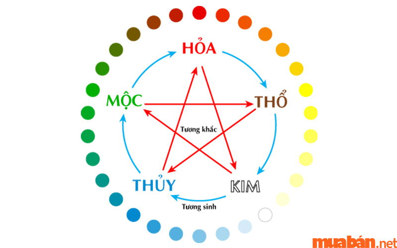 Người ta dùng cây lưỡi mèo để cân bằng ngũ hành theo phong thủy