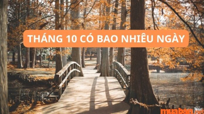 Tháng 10 có bao nhiêu ngày