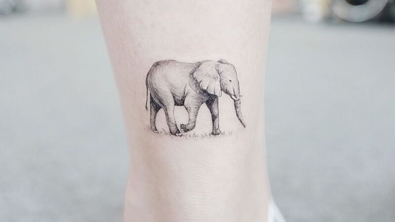 Hình xăm con voi dễ thương ở cổ chân