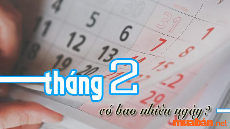 Tháng 2 có bao nhiêu ngày? Tìm hiểu ngày đẹp, xấu tháng 2 năm 2024