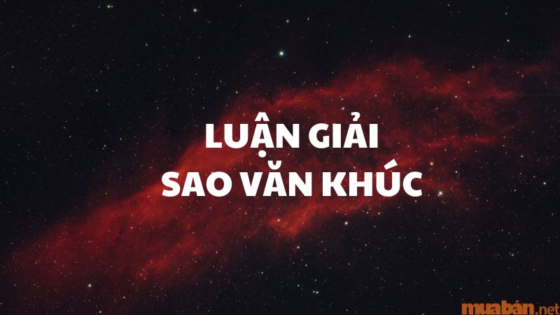 Người có sao Văn Khúc chiếu mệnh thường gặp nhiều may mắn và tài lộc