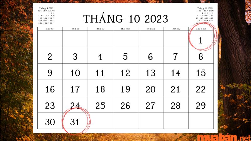 Tháng 10 có bao nhiêu ngày