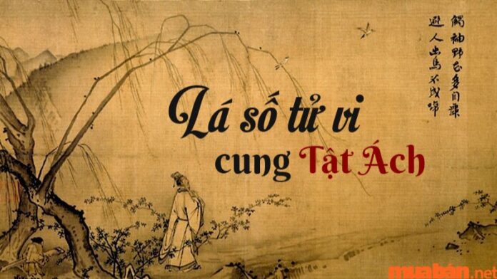 Cung Tật Ách