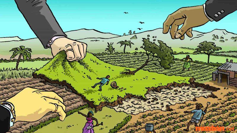 Đòi lại quyền sử dụng đất khi hết hạn cho thuê đất cá nhân