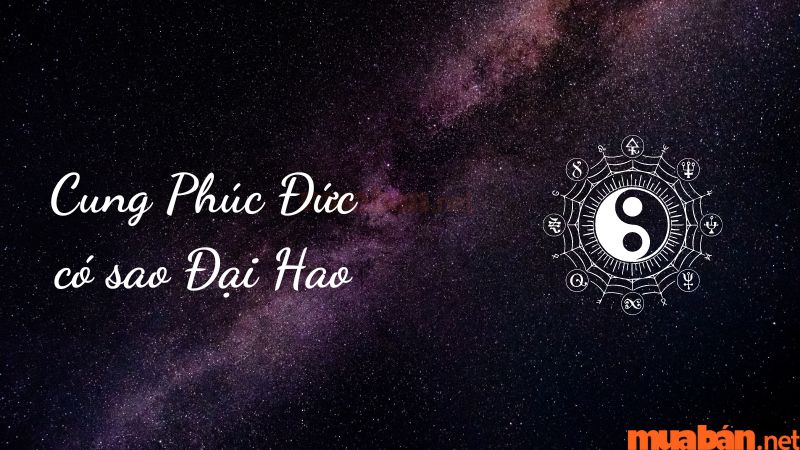 Cung Phúc Đức