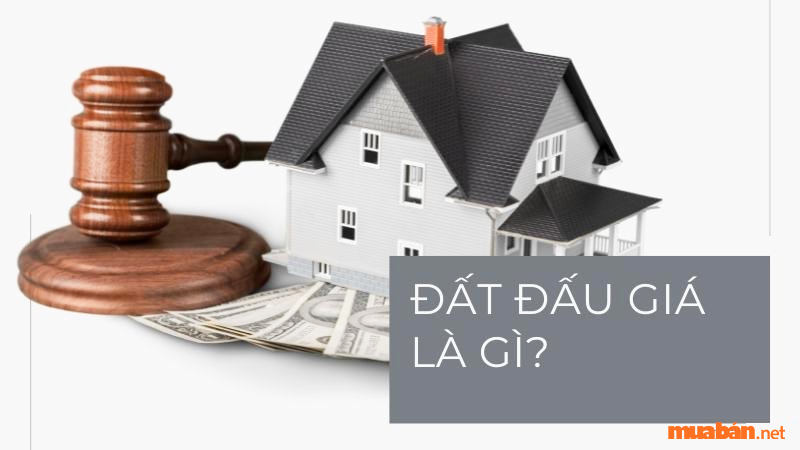 Đất đấu giá là gì? - Đất đấu giá là các khu đất được UBND cấp có thẩm quyền tổ chức bán đấu giá công khai