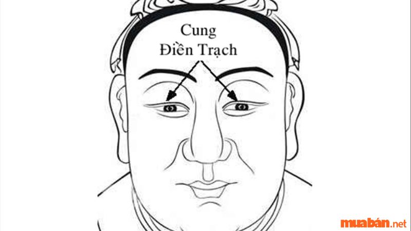 Cung Điền Trạch