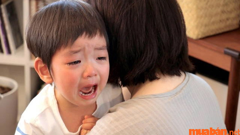 Thái Âm bị hãm thì không nhận được phúc từ mẹ 