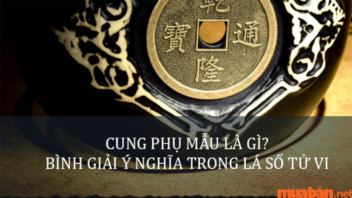 Cung Phụ Mẫu là gì? Bình giải ý nghĩa cung này trong lá số tử vi