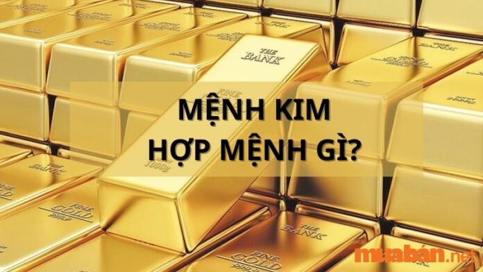 Mệnh kim hợp mệnh gì?