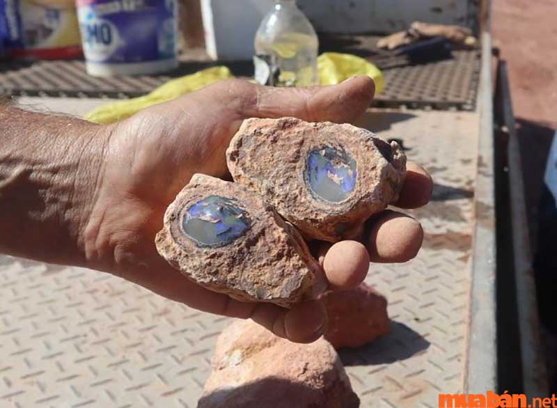 Opal có thể được hình thành trong các loại đá khác