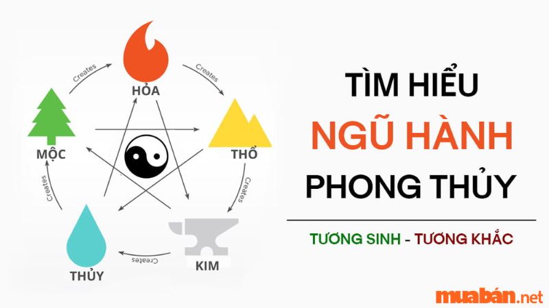 Tổng quan về mệnh Mộc 