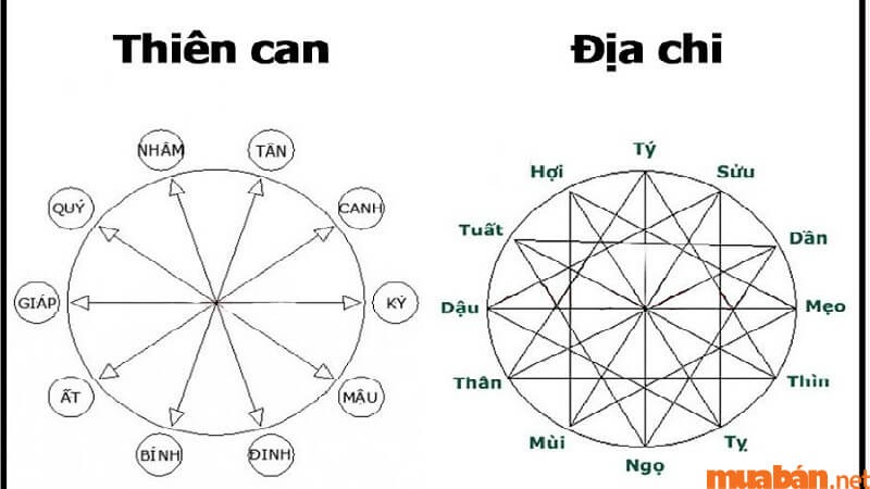 Thiên can