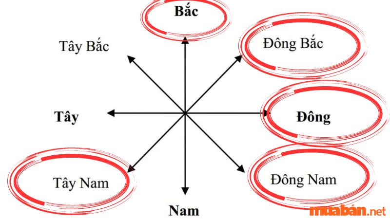 Hướng có thể giúp hợp mệnh Mộc tốt trong việc xây dựng ngôi nhà hoặc làm việc