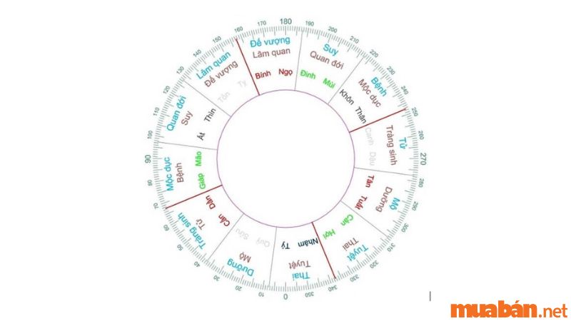 Xác định vị trí trong Vòng Tràng Sinh