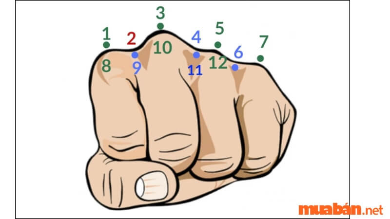 Bí quyết đếm số ngày trong tháng 12 bằng tay đơn giản