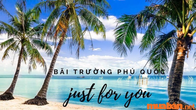 Thời gian du lịch lý tưởng tại Bãi Trường