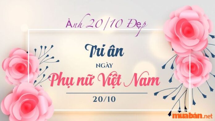 Top những hình ảnh 20/10 ý nghĩa và độc đáo nhất 2023