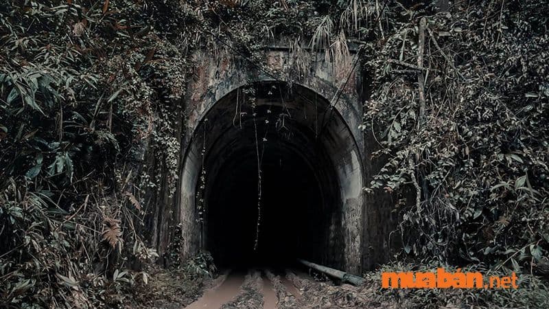 Đường hầm Hỏa Xa Đà Lat - Địa điểm chech in huyền bí, cổ kính siêu hot