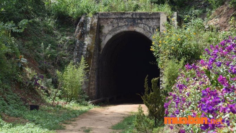 Đường hầm Hỏa Xa Đà Lạt mùa hoa sim