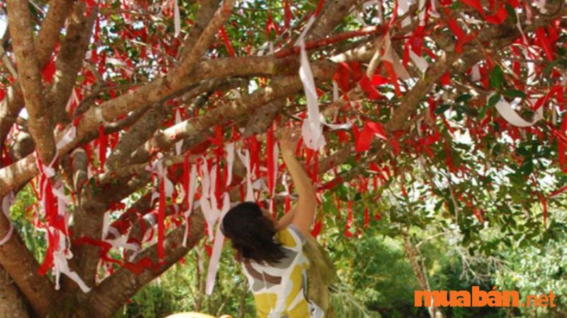 Du khách ném sợi vải đỏ lên cây ước nguyện tình yêu 