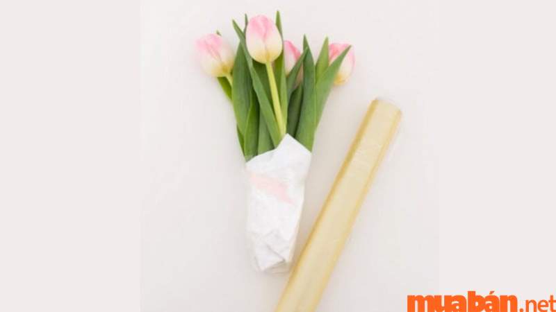 Cách cắm hoa 20/11 - Hoa tulip - Bước 2
