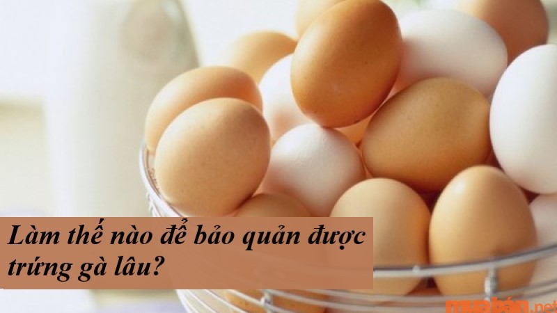 Cùng khám phá cách bảo quản trứng gà dùng được lâu hơn, an toàn cho sức khỏe