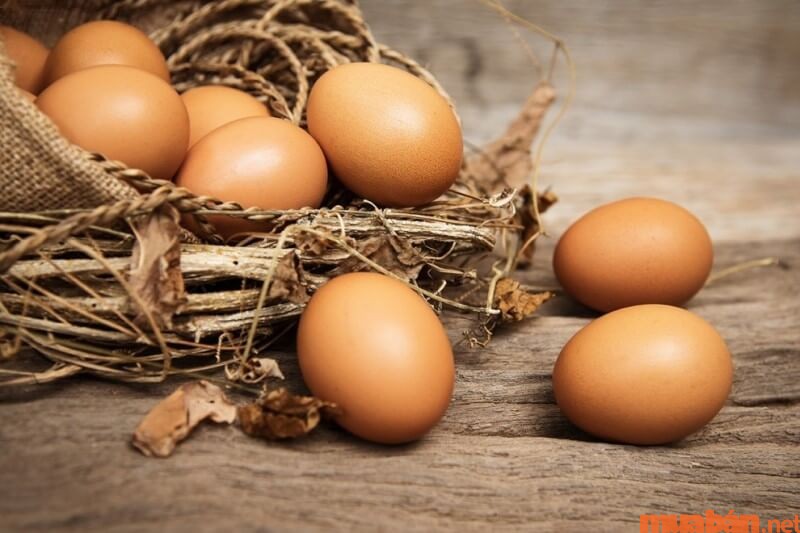 Vì sao bạn nên biết cách bảo quản trứng gà và thực phẩm đúng?