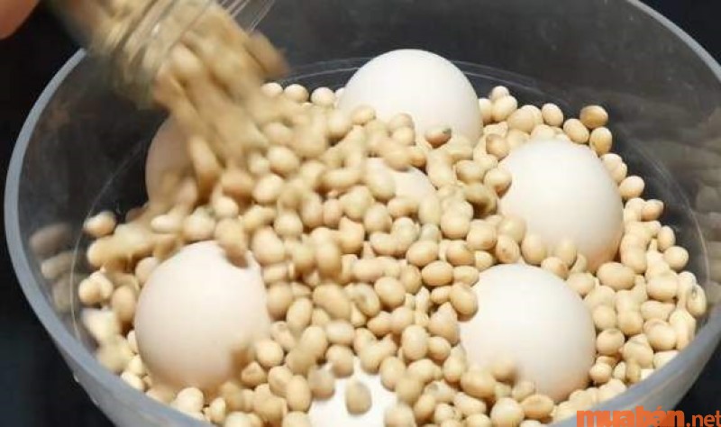 Bảo quản trứng bằng các loại đậu