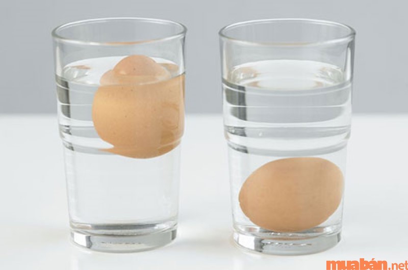 Cách giúp bạn nhận biết trứng tươi và trứng hỏng hiệu quả, đơn giản