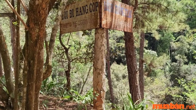 Hướng dẫn đi đến thác Hang Cọp