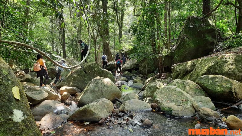 Trekking xuyên rừng chinh phục thác nước