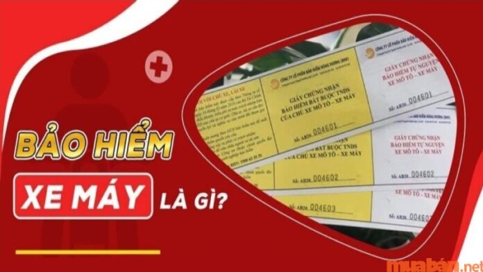 Bảo hiểm xe máy là gì? Lợi ích và quyền lợi bạn cần biết