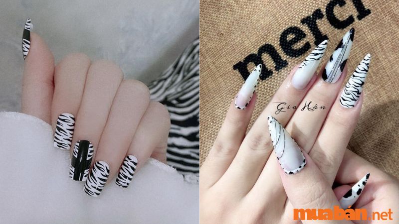 Nail trắng họa tiết ngựa vằn cá tính