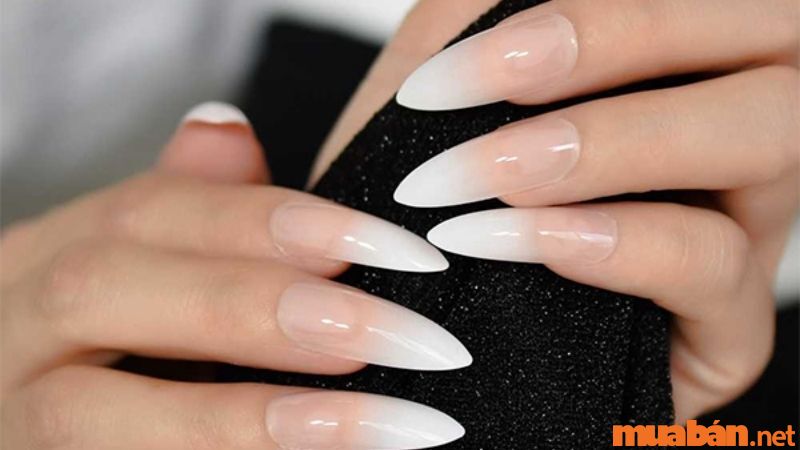 Mẫu nail trắng trơn ombre đầu móng đơn giản, kiêu sa