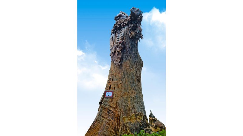 Bức tượng Bồ Đề Đạt Ma bằng gỗ lớn nhất Việt Nam