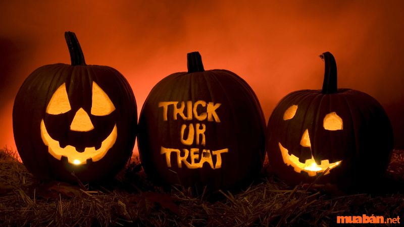 Tuyển tập 15 bài nhạc halloween hay nhất mọi thời đại