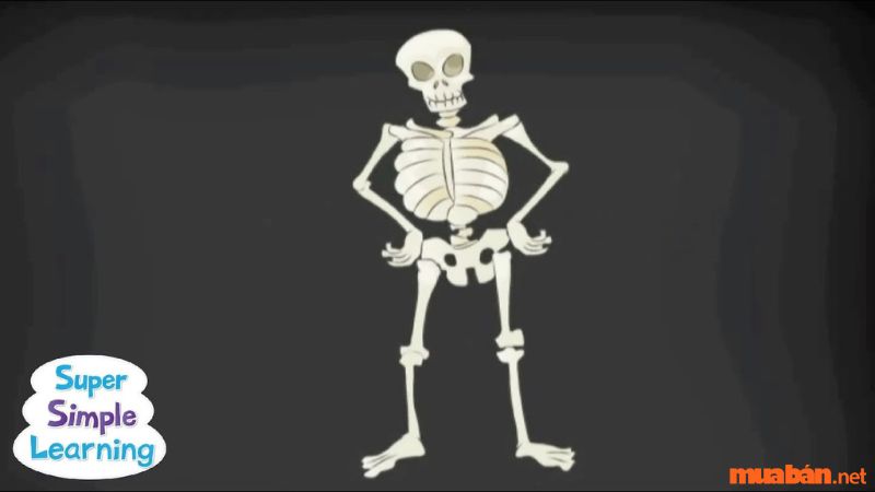 The Skeleton Dance