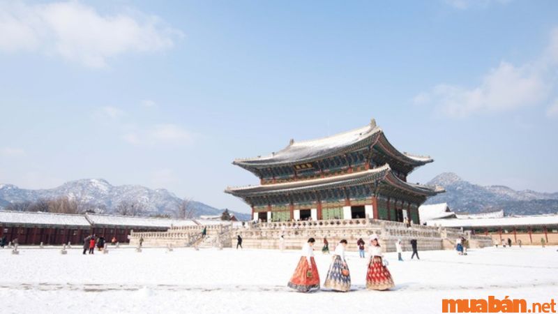 Tháng 12 nên đi du lịch ở đâu? Mùa đông là một thời điểm lý tưởng để du lịch Hàn Quốc