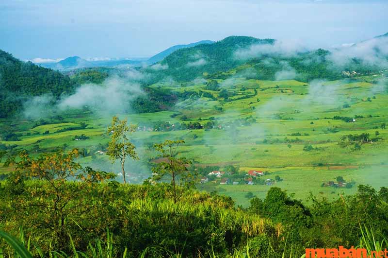 Cao nguyên Vân Hòa được ví như Đà Lạt thu nhỏ tại Phú Yên