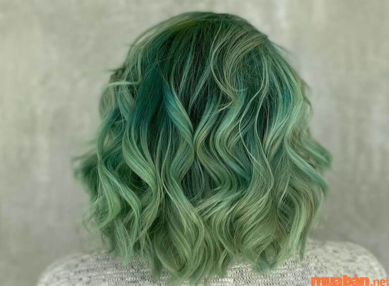 Trót u mê màu tóc xanh rêu thì đừng bỏ lỡ bài này nhé - Shuvl Professional  Vietnam