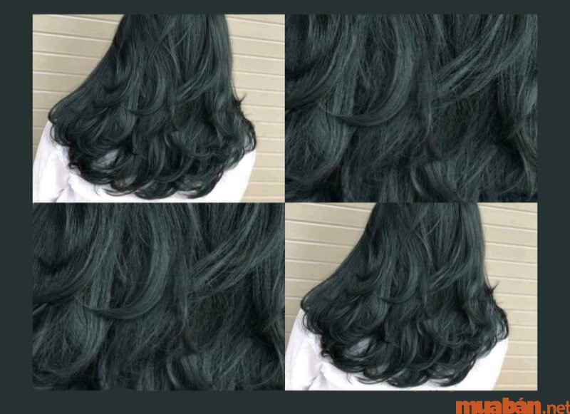 7+ kiểu tóc nhuộm màu xanh đen đẹp chiếm trọn spotlight 2023