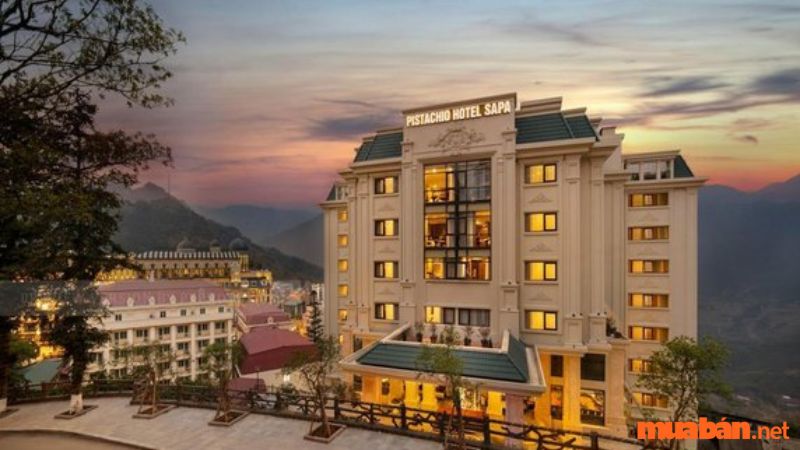 Gợi ý một số khách sạn giá rẻ gần Cổng trời Sapa - Pistachio Hotel Sapa