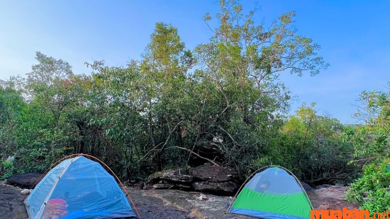 Bạn cần tuân theo một số quy định khi cắm trại tại khu vực ven Suối Mơ